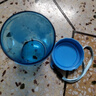 特百惠（Tupperware）雅致300ML塑料杯男女士学生儿童夏季水杯子户外便携口袋杯 晴天蓝 实拍图