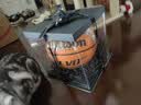 Wilson威尔胜Evo NXT系列FIBA比赛专业用球室内篮球7号球成人送礼 实拍图