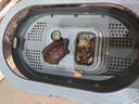 Barbarous Growth小乌龟生态缸养龟专用箱晒台造景晒台家用大型饲养箱免换水龟 易清理防逃易沥水龟盆（中号绿） 实拍图