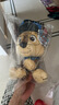 汪汪队立大功（PAW PATROL）毛绒玩具陪睡玩偶经典款阿奇中号坐姿公仔男女孩儿童生日礼物 实拍图