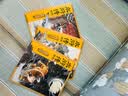 水浒传绘本（套装全3册） 狐狸家著3-8岁名著启蒙绘本 含风雪山神庙 大闹五台山 景阳冈打虎  实拍图