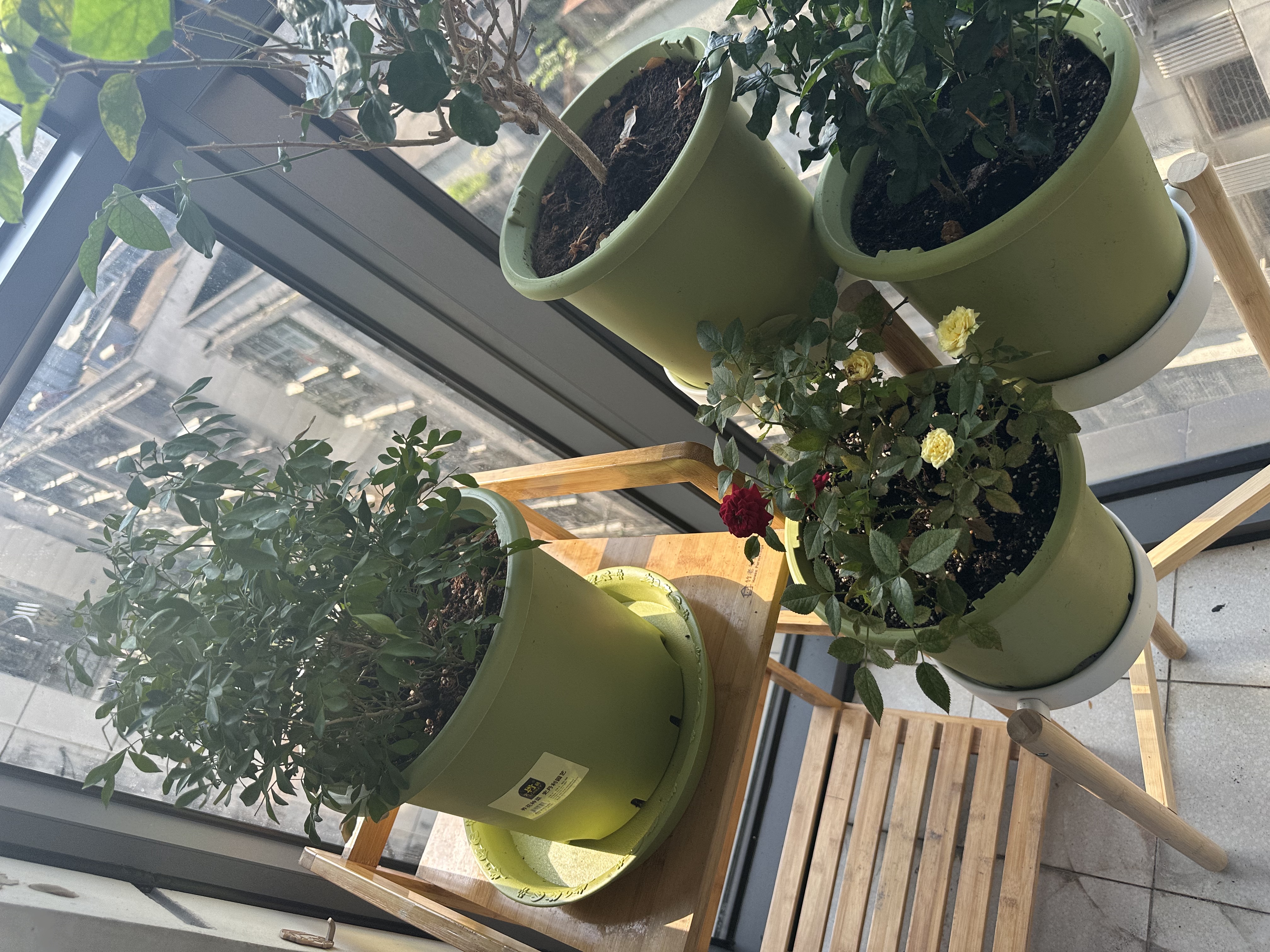 史丹利花盆家用树脂塑料盆栽加厚多肉月季阳台庭院加仑盆苹果绿高197mm 实拍图