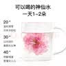 be u tea玫瑰花茶采摘平阴重瓣大朵玫瑰花冠茶15g/盒女泡水喝的养生茶花茶 实拍图