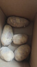 【东东农场专供】山东黄心大土豆粉糯新鲜现挖马铃薯洋芋芋头当季 黄心土豆1.8斤 净重 中大果2两起 实拍图