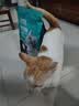 力狼猫粮 成猫幼猫通用型天然粮 【基础护胃-尝鲜】经典猫粮2.5kg 实拍图