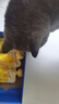 海洋之星 猫狗零食牛奶冻干奶酪棒宠物牛奶通用宠物零食牛奶冻干（0乳糖） 【囤货】奶酪冻60g*50 实拍图