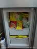 湾仔码头 早餐速食 生鲜食品 半成品 快手早点 大白菜猪肉水饺300g 实拍图