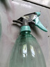 喷壶浇花浇水喷雾器气压式喷水壶家用园艺养花500ml 南瓜喷壶透蓝【2个装】 实拍图