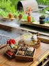 音朗 茶叶乌龙茶正宗安溪铁观音 特级2026新茶春茶兰香品鉴装8g*6泡 实拍图