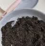 小熊（Bear）研磨机 家用磨粉机 打粉机 中药粉碎机 料理机 不锈钢打粉研磨机FSJ-A03E1 实拍图