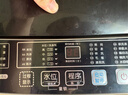 志高全自动洗衣机 大容量波轮洗脱一体机 蓝光洗护智能风干 宿舍租房家用小型洗衣机洗脱洗衣机 咖啡金 波轮 10kg 【京仓发货+蓝光洗护+强电机】 实拍图
