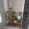 华观家居（Home Giving Furniture）可移动手推花架实木多层落地式花盆架子木质盆景阳台客厅室内多肉 加强款碳色大号带轮 实拍图