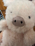 Jellycat小猪可爱公仔动物毛绒玩偶小玩偶娃娃送礼生日礼物 粉红色 Little 实拍图