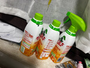 seaways水卫士厨房重油污净480g*3瓶（3瓶重油污净+1喷头）【临期清仓】 实拍图