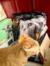 亿迪 猫粮冻干10斤成猫幼猫国产全价布偶蓝猫银渐层全阶段专用 实拍图