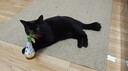 憨憨乐园猫玩具猫咪不倒翁羽毛铃铛逗猫棒球自嗨解闷神器猫猫小猫幼猫宠物 实拍图