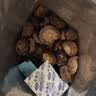 十月稻田 金钱菇 200g 干香菇 小香菇 山珍菌菇干货 煲汤火锅炒菜食材 实拍图