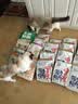 喵梵思白袋子冻干猫粮全价营养鸡肉幼猫成猫全阶段通用主粮营养长肉 4.1金边营养款9kg（1.5kg×6袋） 2个月及以上 实拍图