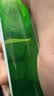冰肤之萃芦荟胶舒缓保湿凝胶补水保湿晒后呵护凝胶男女面部滋润身体嫩肤 【实惠装】芦荟凝胶300gx2盒 实拍图