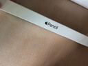 Apple/苹果 Pencil(USB-C) 磁吸触控笔手写笔苹果笔电容笔iPad笔 适用iPad 11/mini/Pro/Air 实拍图