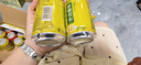 康师傅饮品310ml*24瓶易拉罐饮料整箱冰红茶茉莉水蜜桃冰糖雪梨多口味选 冰糖雪梨【310ml*24罐】 实拍图