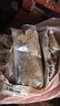 宠以沫（CHONG YIMO）金鱼饲料观赏鱼锦鲤鱼食增色鱼粮小颗粒不浑水热带鱼食饵料粮 小颗粒适合10厘米下的鱼 1斤装500克 实拍图