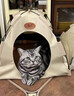 HOUYA猫窝四季通用猫帐篷猫咪露营户外狗宠物小猫夏天猫窝封闭式 实拍图