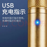 魔铁（MOTIE）激光笔绿光远射工程工地专用大功率激光灯大会LED屏户外手电筒红外线沙漠指星笔镭射定位器可充电 实拍图