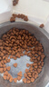 好主人猫粮 成猫猫粮 全价成猫天然粮通用鸡肉味 10kg/20斤 实拍图