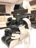 稻田（FAMILYINADA）日本原装进口按摩椅ROBO家用全身按摩椅太空舱电动智能双机芯十大品牌自动按摩椅LPN30000D送父母 尊贵黑 实拍图