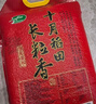 十月稻田 长粒香大米 20斤（东北大米 香米 10kg/公斤） 实拍图
