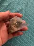 草木方桑叶双瓜茶300g 降搭官正方品糖2二型苦瓜片冬瓜组合压桑叶茶血 实拍图