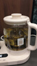 olayks立时迷你养生壶组合套装花茶壶 煮茶壶 0.8L办公室加热恒温杯垫二合一小型一人烧水壶煮茶器 实拍图