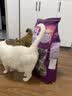 伟嘉成猫猫粮 夹心粮10kg牛肉味全价猫粮 实拍图