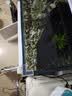 尼特利二代水草泥鱼缸专用水藻泥生态草缸底砂营养土9L/袋 实拍图