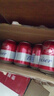 百威啤酒mini红罐淡色拉格255ml*24小罐整箱装京东自营喜酒端午送礼 实拍图