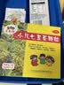 【育儿常备】三公仔 小儿七星茶颗粒7g*10袋 儿童清热积食便秘消食化积 开胃脾胃肠胃调理消化不良 儿科专科 实拍图