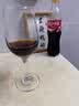 红酒杯高脚杯家用玻璃大小号香槟葡萄酒杯子鸡尾酒杯白兰地杯 透明350ml魅影红酒杯2只装 实拍图