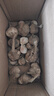 仙果春天精打细蒜 新鲜生鲜蔬菜多瓣大蒜头无添加正宗 鲜大蒜2斤 实拍图