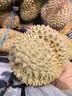 康佳（KONKA）电热水壶 304不锈钢双层防烫 2.2L大容量 家用保温烧水壶暖水壶开水壶 KDSH-2233-W 实拍图