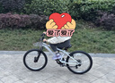 迪卡侬儿童自行车EXPL120青少年山地车6速20寸学生自行车白色-4810987 实拍图