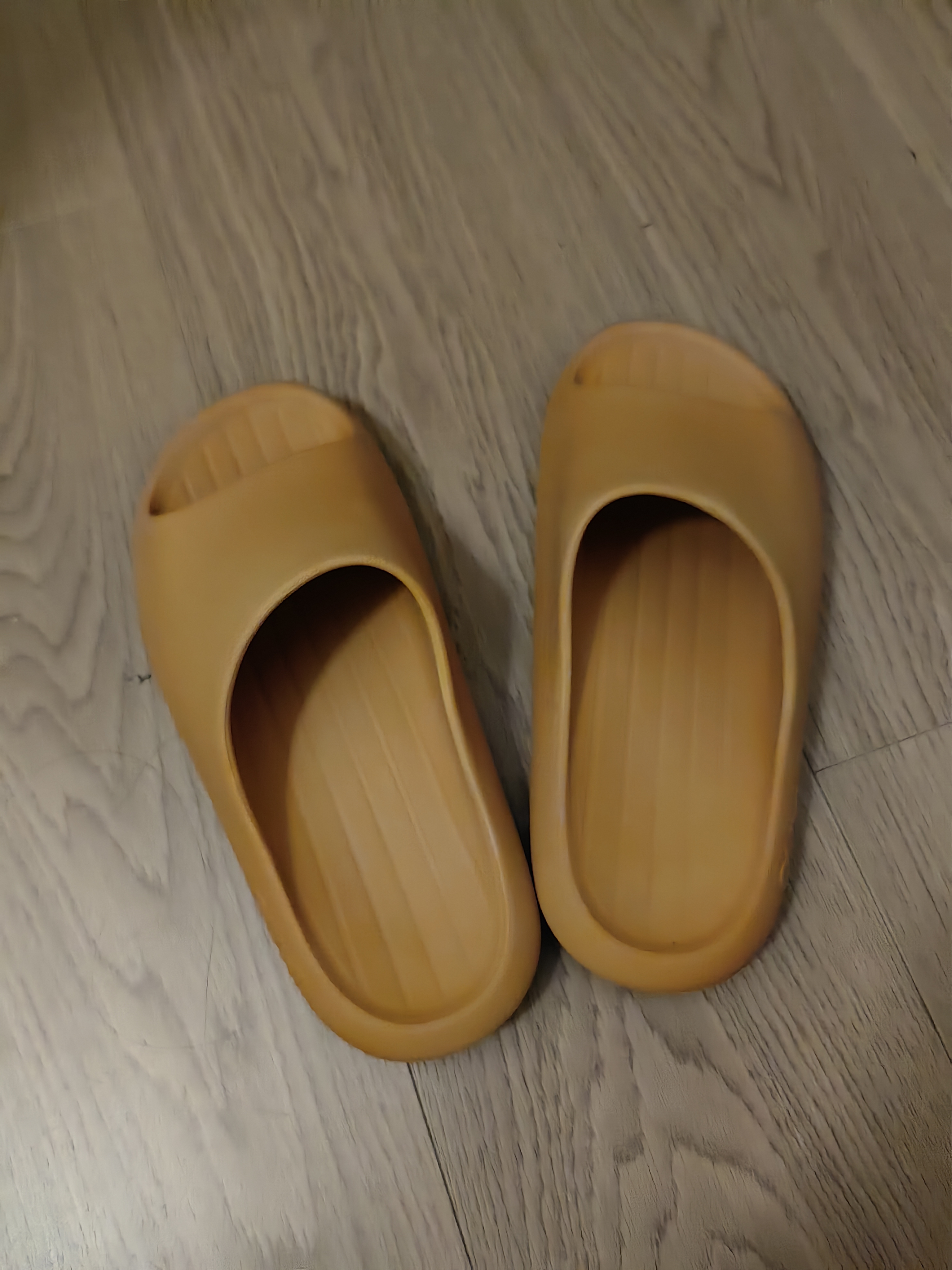 朴西男士四季抗菌室内浴室洗澡防滑居家情侣凉拖女 卡皮巴拉色 42-43 实拍图