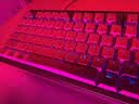 CHERRY樱桃MX8.3无线机械键盘8K回报客制化热插拔蓝牙三模84配列电竞游戏键盘无畏契约铝坨坨金色茶轴 实拍图