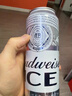 百威冰啤酒500ml*18听整箱装【99%好评】京东自营端午送礼 实拍图