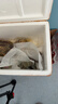 特美居真空密封袋食品抽真空包装袋家用粽子咸鸭蛋加厚纹路塑封袋20*30cm 实拍图