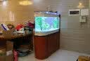 喜灏子弹头鱼缸水族箱客厅家用中型大型1.2米屏风隔断免换水鞋柜鱼缸 包到家安装 长0.8米单缸-顶滤 实拍图