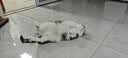 喵梵思猫主粮全价猫粮全期全种通用幼猫成猫营养宠物猫粮猫主粮 汉欧量贩大包装10斤 2个月及以上 实拍图