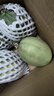 热带水果哈密瓜甜瓜产脆甜多汁香甜可口产地直发沙漠爆甜瓜 12-14斤精装礼盒版（3-4个装）净重10斤+ 源正达爆甜蜜瓜 实拍图