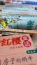 杨红樱童话注音本系列全10册 彩绘注音版儿童童话故事 桥梁书  优美童话蕴含成长智慧 6-10岁小学生课外阅读 实拍图