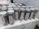 陈一凡 金桔柠檬百香果茶190g 搭蜂蜜冻干柠檬茶 夏日清凉冷泡水果茶 实拍图